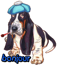 Gif animé bonjour